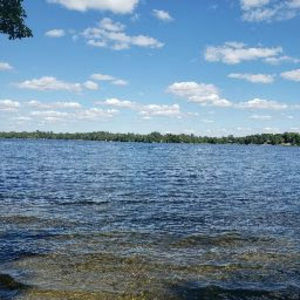 Meet your Posher, Ben